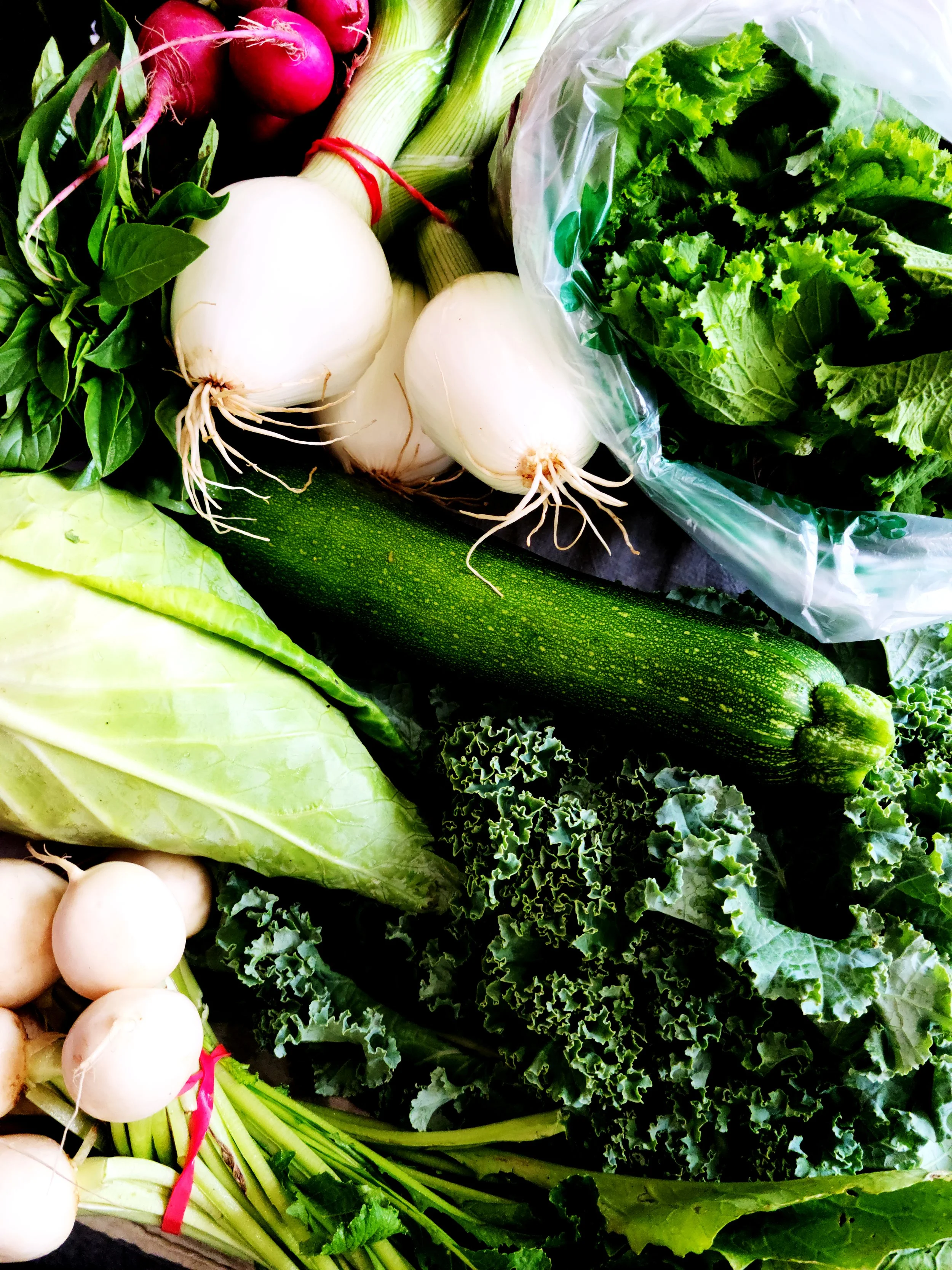  A sumptuous selection of organic, freshly harvested vegetables included in the weekly Farmer’s Choice summer subscription bags; radish, green onions, kickin’ greens, zucchini, kale, salad turnips, cabbage, and fresh Thai basil.   