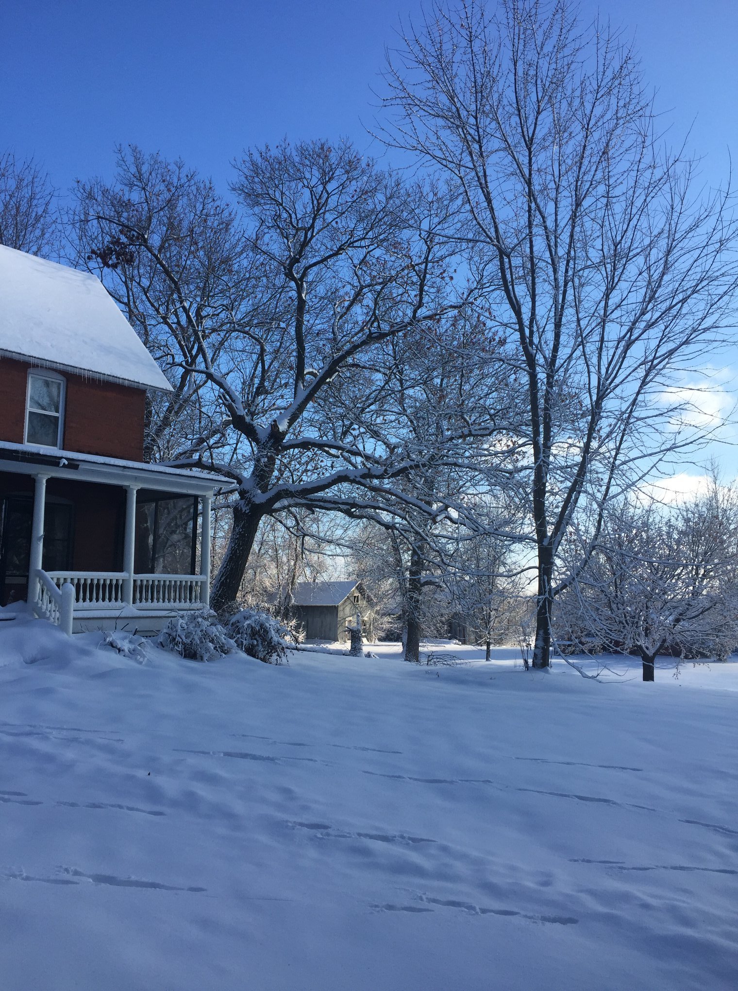  Winter at Foxtail Farm 