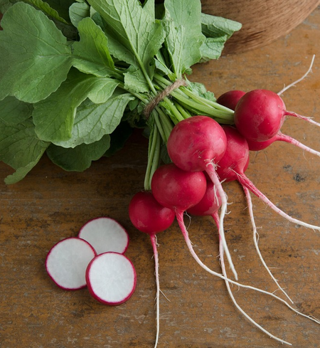  A bundle of our Crunchy King radishes next to a trio of fresh slices. 