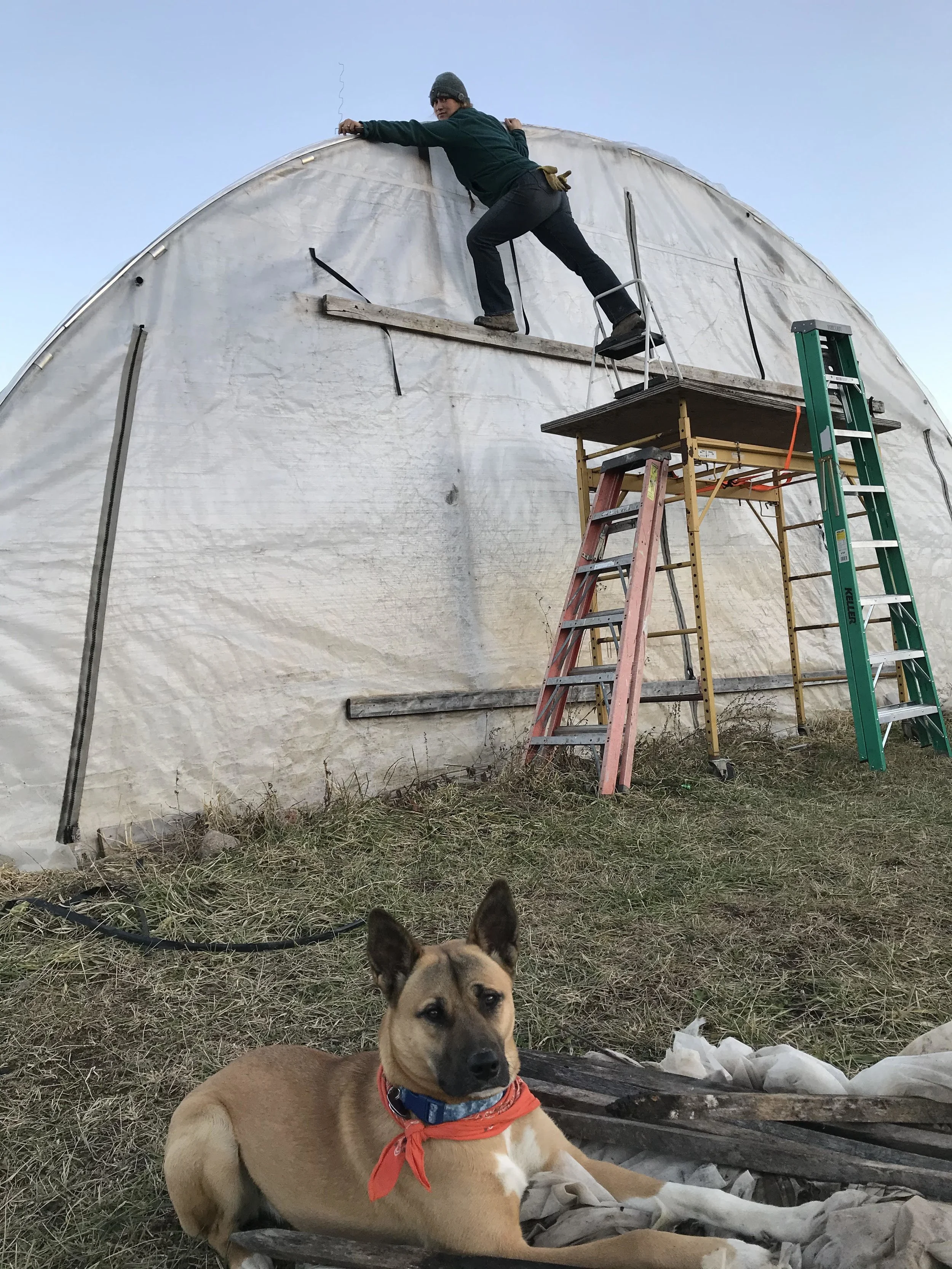  Batten down the hoop house, me hearties! 