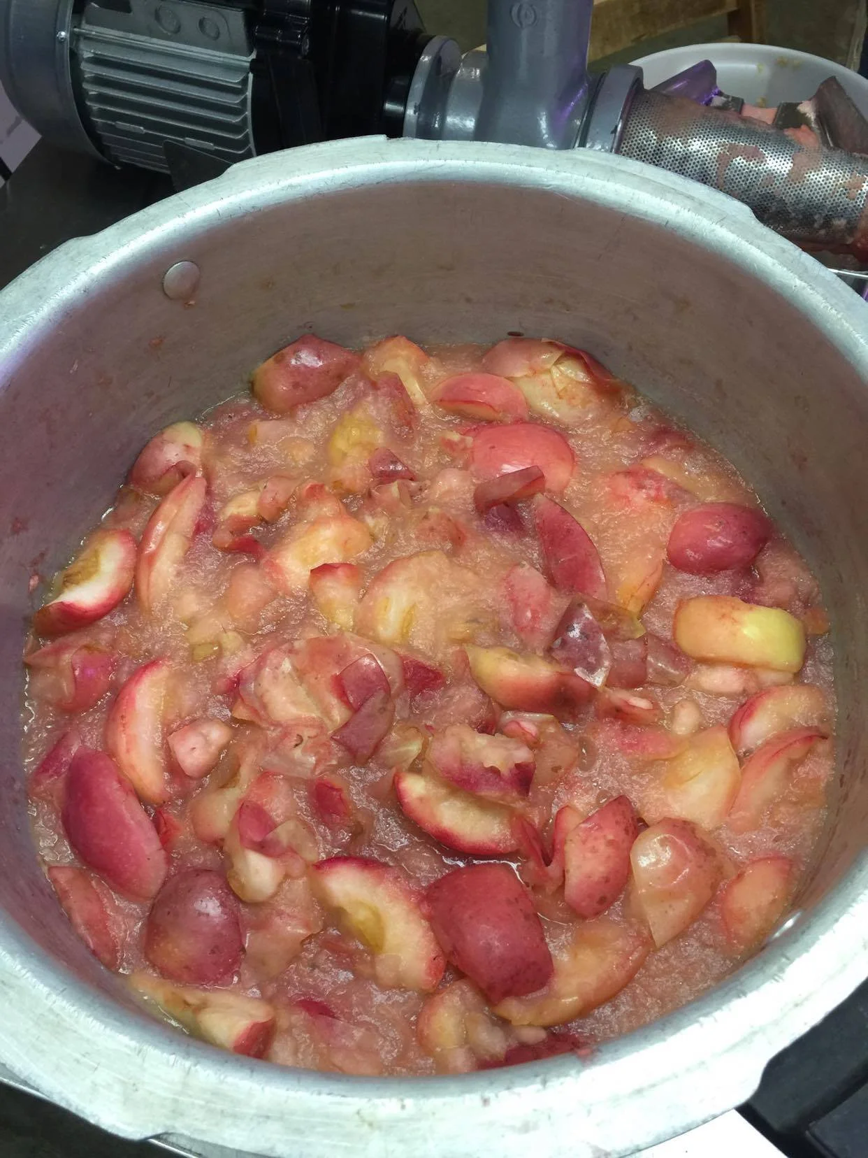  Pressing apples down into tasty applesauce! 